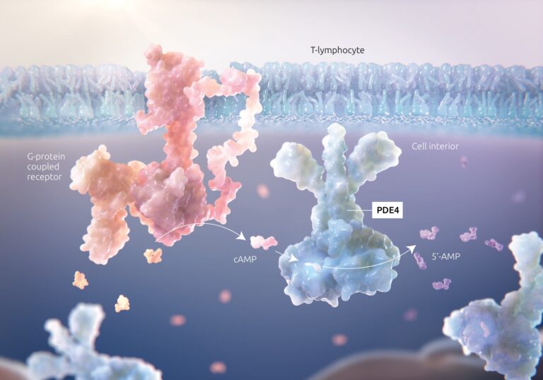 PDE4 Inhibitor Overview | Arcutis Biotherapeutics Medical Affairs